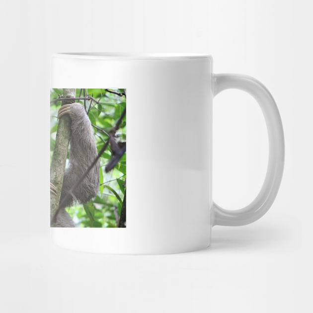 Sloth by kawaii_shop